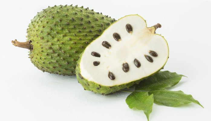 Soursop Leaf Capsule